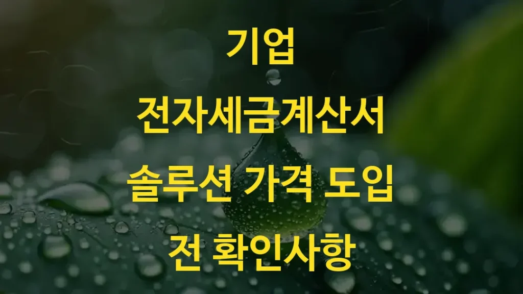 기업 전자세금계산서 솔루션 가격 도입 전 확인사항
